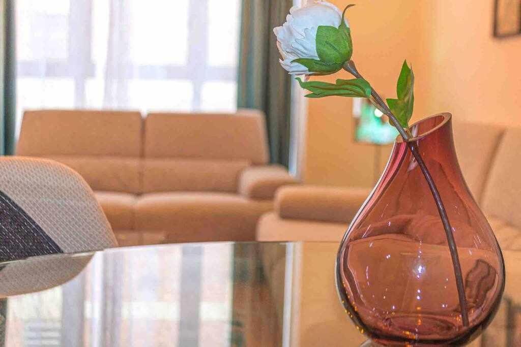Apartment Central House Castellón de la Plana Dış mekan fotoğraf